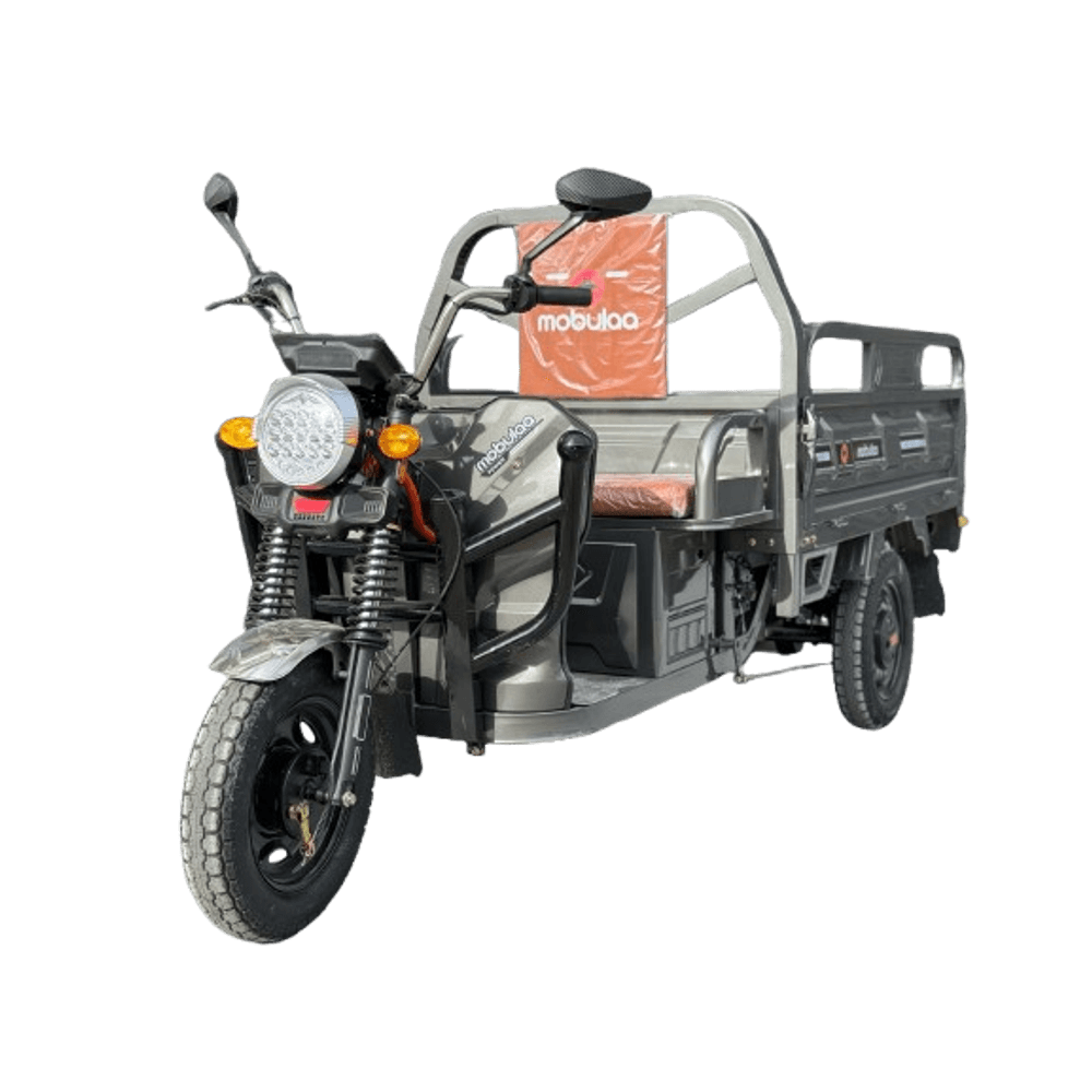 Trimoto Eléctrica Mobulaa Tyson C1 - Lagobo